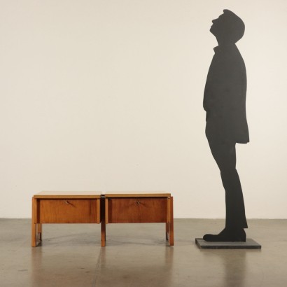 Furniture Beech Veneer Ash Tree Beech Mario Vender 1961