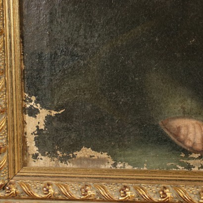 San Francesco in meditazione