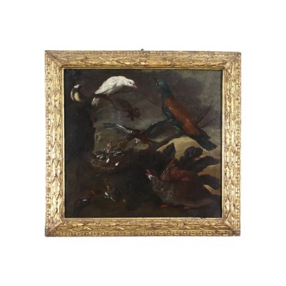 Nature Vivante avec des Oiseaux Huile sur Toile Italie XVII Siècle