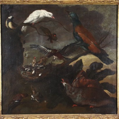 Nature Vivante avec des Oiseaux Huile sur Toile Italie XVII Siècle