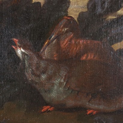 Nature Vivante avec des Oiseaux Huile sur Toile Italie XVII Siècle