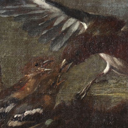 Nature Vivante avec des Oiseaux Huile sur Toile Italie XVII Siècle