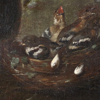 Nature Vivante avec des Oiseaux Huile sur Toile Italie XVII Siècle