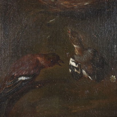 Nature Vivante avec des Oiseaux Huile sur Toile Italie XVII Siècle