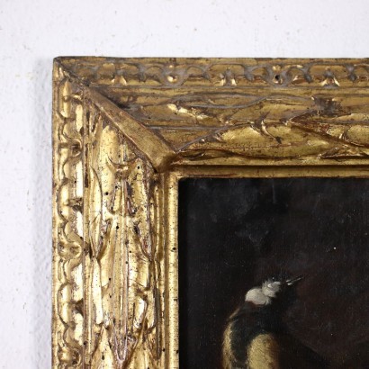 Nature Vivante avec des Oiseaux Huile sur Toile Italie XVII Siècle