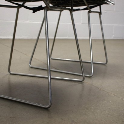 modernariato, modernariato di design, sedia, sedia modernariato, sedia di modernariato, sedia italiana, sedia vintage, sedia anni '60, sedia design anni 60,Sedie di Harry Bertoia per Knoll Anni%,Sedie di Harry Bertoia per Knoll Anni%,Harry Bertoia,Sedie di Harry Bertoia per Knoll Anni%,Harry Bertoia,Sedie di Harry Bertoia per Knoll Anni%,Harry Bertoia,Sedie di Harry Bertoia per Knoll Anni%,Harry Bertoia,Sedie di Harry Bertoia per Knoll Anni%,Harry Bertoia,Sedie di Harry Bertoia per Knoll Anni%,Harry Bertoia,Sedie di Harry Bertoia per Knoll Anni%,Harry Bertoia,Sedie di Harry Bertoia per Knoll Anni%,Harry Bertoia,Sedie di Harry Bertoia per Knoll Anni%,Harry Bertoia,Sedie di Harry Bertoia per Knoll Anni%,Harry Bertoia,Sedie di Harry Bertoia per Knoll Anni%,Harry Bertoia,Sedie di Harry Bertoia per Knoll Anni%,Harry Bertoia,Sedie di Harry Bertoia per Knoll Anni%,Harry Bertoia,Sedie di Harry Bertoia per Knoll Anni%,Harry Bertoia,Sedie di Harry Bertoia per Knoll Anni%
