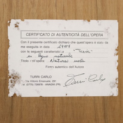 Embutido de Carlo Turri, Naturaleza muerta, Carlo Turri, Carlo Turri, Carlo Turri, Carlo Turri, Carlo Turri, Carlo Turri, Carlo Turri