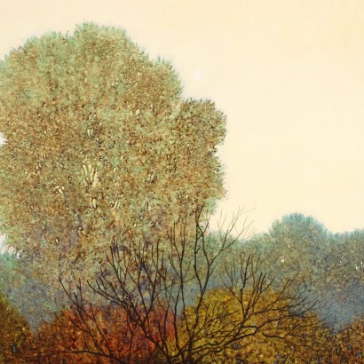Alessandro Tofanelli, El pantano encantado, ALessandro Tofanelli, Alessandro Tofanelli, Alessandro Tofanelli