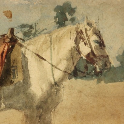Cesare Biseo, Cavallo, Cesare Biseo, Cesare Biseo, Cesare Biseo, Cesare Biseo, Cesare Biseo