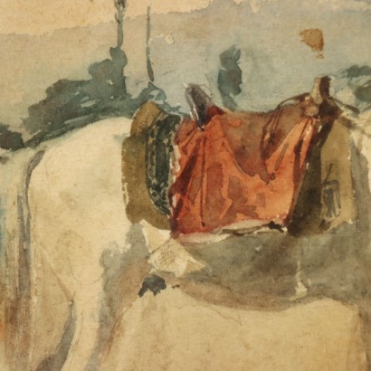 Cesare Biseo, Cavallo, Cesare Biseo, Cesare Biseo, Cesare Biseo, Cesare Biseo, Cesare Biseo