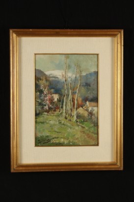 Giuseppe Solenghi